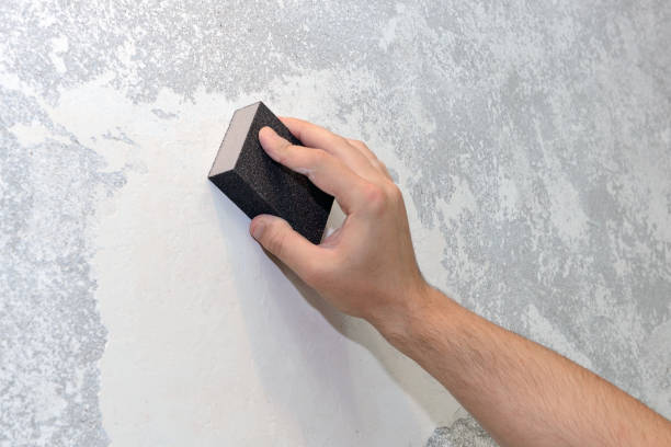 Best Water Damage & Mold Remediation  in Tenafly, NJ