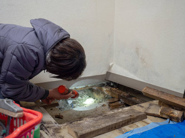 Best Crawl Space Mold Remediation  in Tenafly, NJ