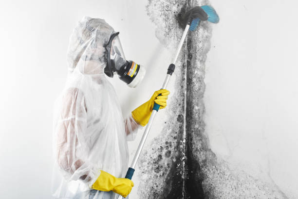 Best Air Quality Testing for Mold Spores  in Tenafly, NJ