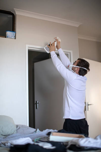 Best Mold Damage Restoration  in Tenafly, NJ