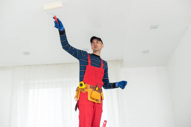 Best Basement Mold Removal  in Tenafly, NJ