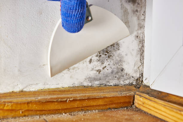Best Post-Remediation Verification Testing  in Tenafly, NJ