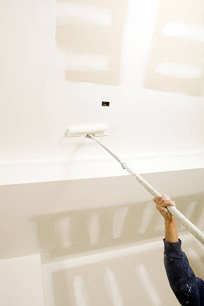 Best Mold Documentation for Insurance Claims  in Tenafly, NJ