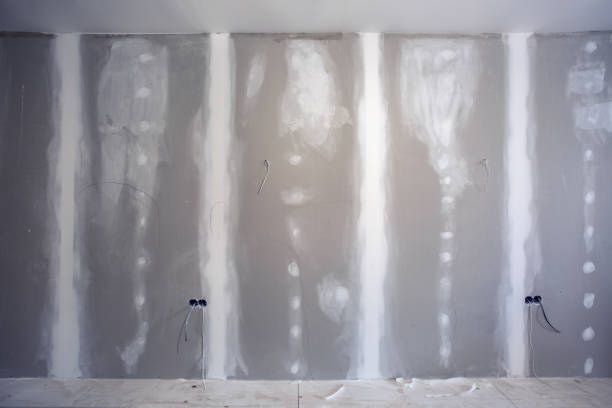 Professional Mold Removal in Tenafly, NJ